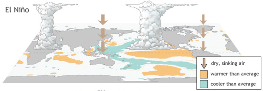 図１　エルニーニョ現象と海水面温度